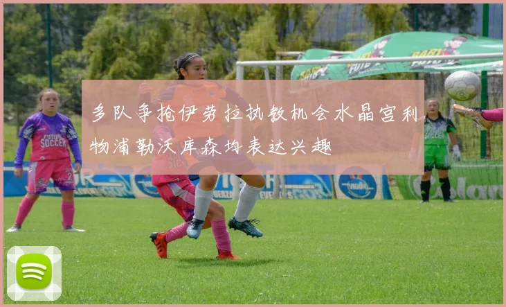 多队争抢伊劳拉执教机会水晶宫利物浦勒沃库森均表达兴趣