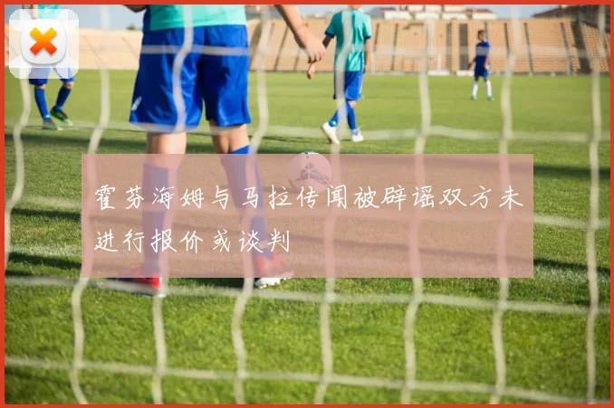 霍芬海姆与马拉传闻被辟谣双方未进行报价或谈判